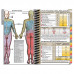 MDpocket® Ohio Health Riverside Methodist Hospital Internal Medicine